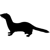 イタチ・コウモリ